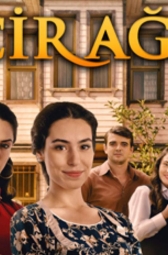 Фиговое дерево